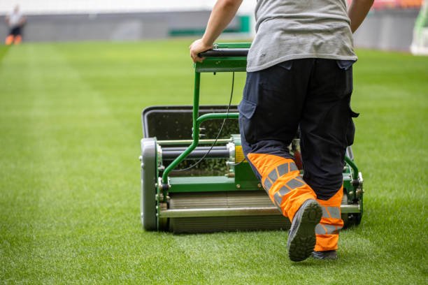 Maintenance of the lush green football field